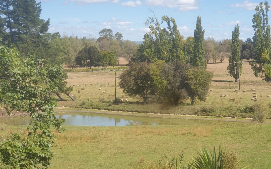 Rooms With Countryside Views Worth Waking Up To