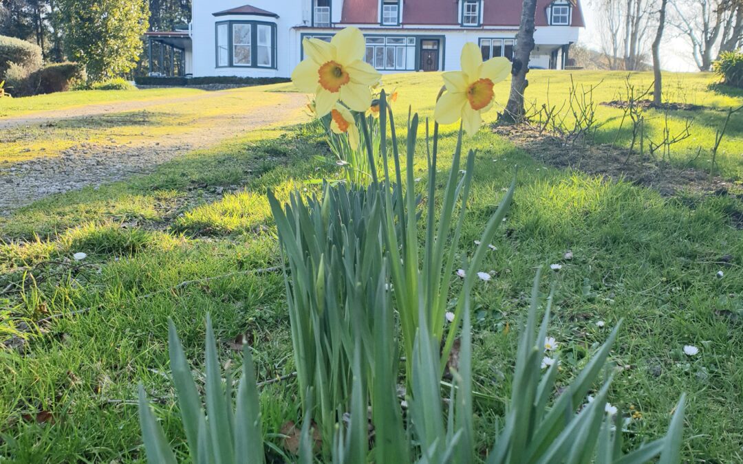 How to Book Country Accommodation With Confidence