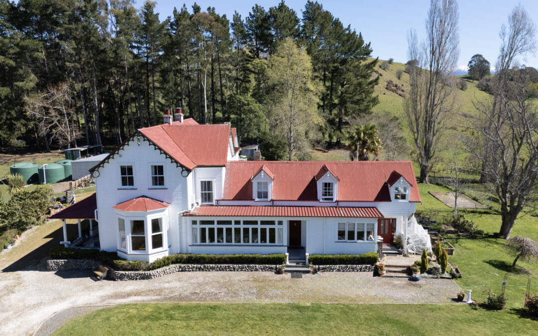 Central Hawkes Bay Travel Guide