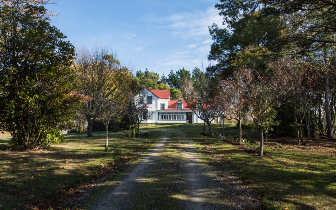 Heritage Homestead vs Modern Hotel